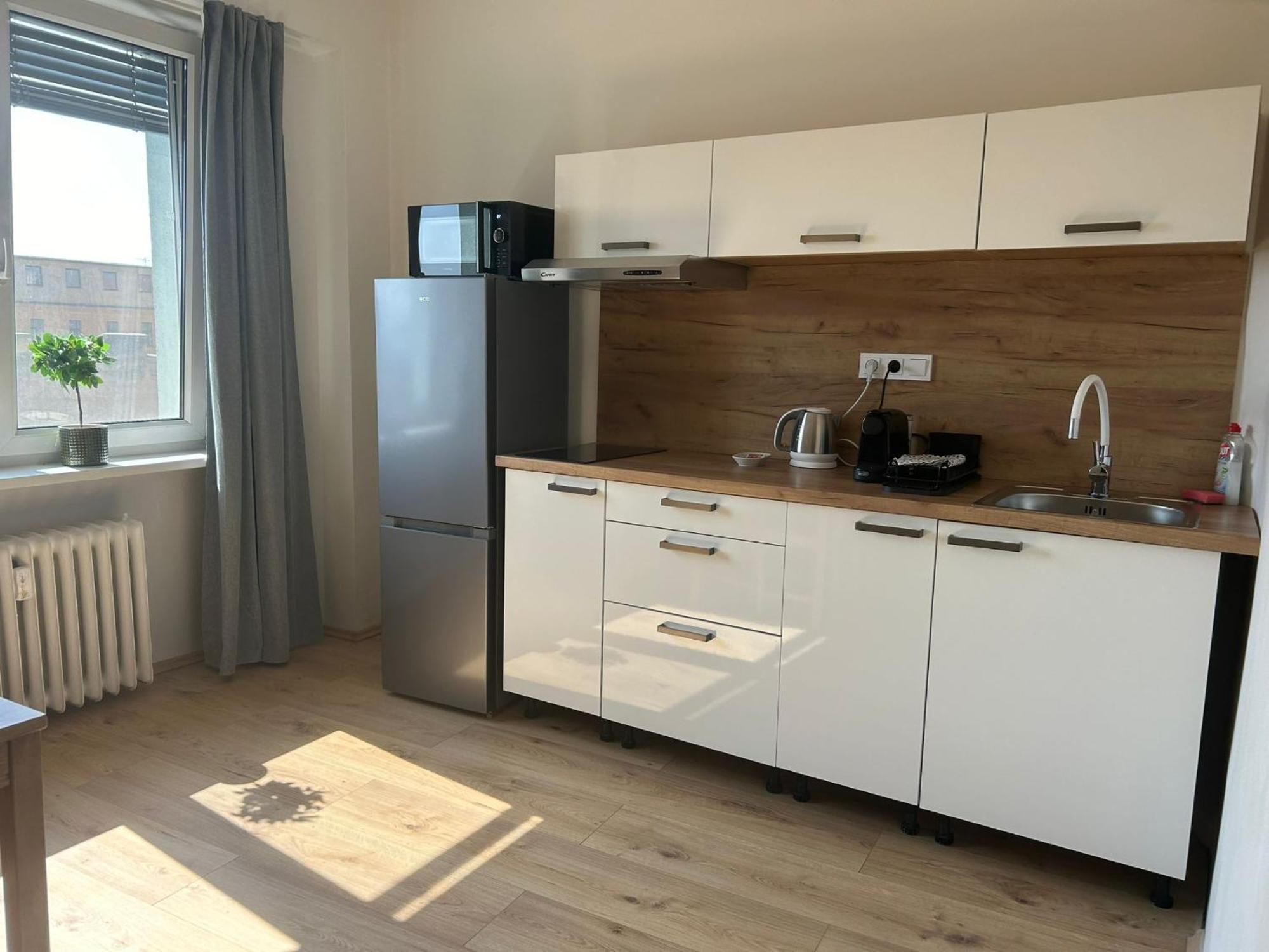 City Center Apartments - Moderna Brno Rimske Namesti VI Esterno foto