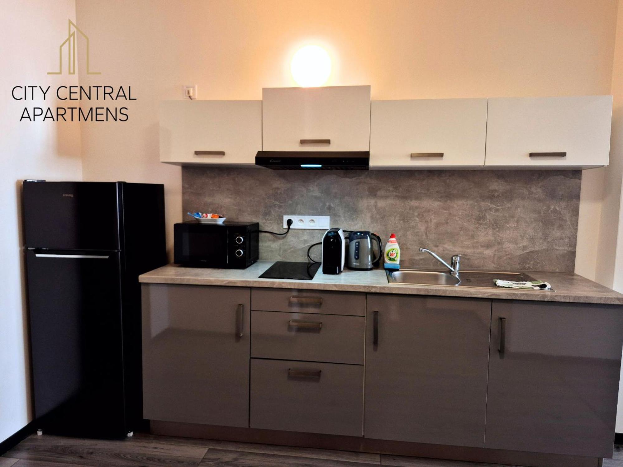 City Center Apartments - Moderna Brno Rimske Namesti VI Esterno foto
